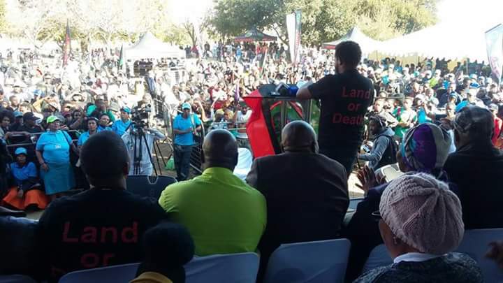 BFLF Black First Land First