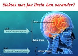 Beskkerm jou denke
