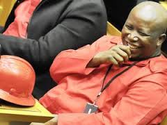 Malema in die parlement