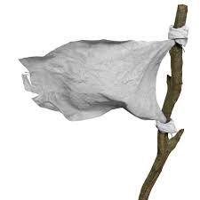 VSA hys die oorgee vlag