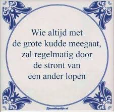 Wie altijd met de grote kudde meegaat